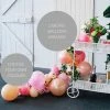 Favor Lane DIY Balloon Garland Kits 2 Metre Custom Colour Balloon Garland - Perth Only