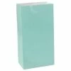 Favor Lane Mint Paper Party Bags Favour/Party Bags