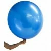 Favor Lane 81cm Stretchy Satin Balloon Ball - Sapphire Blue Foil Balloon Balls + Orbz 2 Favor Lane 81cm Stretchy Satin Balloon Ball - Sapphire Blue Foil Balloon Balls + Orbz