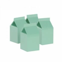 Five Star Party Co Milk Box/Party Favour Box Classic Pastel Mint 10pk WEDDINGS