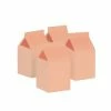 Five Star Party Co Milk Box/Party Favour Box Classic Pastel Peach 10pk 1 Five Star Party Co Milk Box/Party Favour Box Classic Pastel Peach 10pk