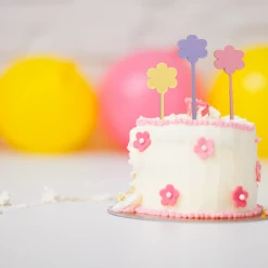 BarleyBoy Pastel Daisy Acrylic Cake Toppers - Set Of 3