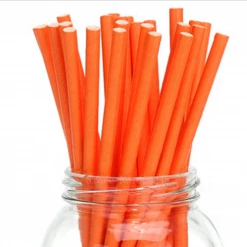 Favor Lane Paper Straws - Orange