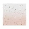 Ginger Ray Rose Gold Foiled Pink Ombre Napkins Wedding Tableware