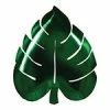 Meri Meri Party Palm Leaf Paper Plates TABLEWARE