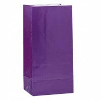 Favor Lane Purple Paper Party Bags Favour/Party Bags