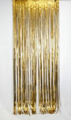 Favor Lane Satin (Chrome) Gold Fringe Curtain Backdrop