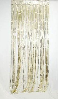 Favor Lane Metallic White Gold Fringe Curtain Backdrop WEDDINGS