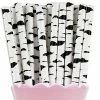 Favor Lane Paper Straws - Zebra Print